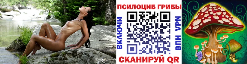 Псилоцибиновые грибы Psilocybe Железноводск